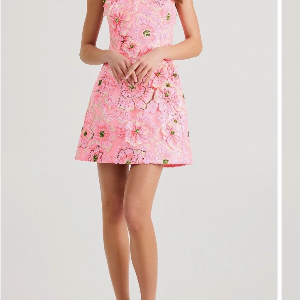 Helsi Ariana 3D Floral Appliqué Fit and Flare Cocktail Minidress - Picture 2 of 4
